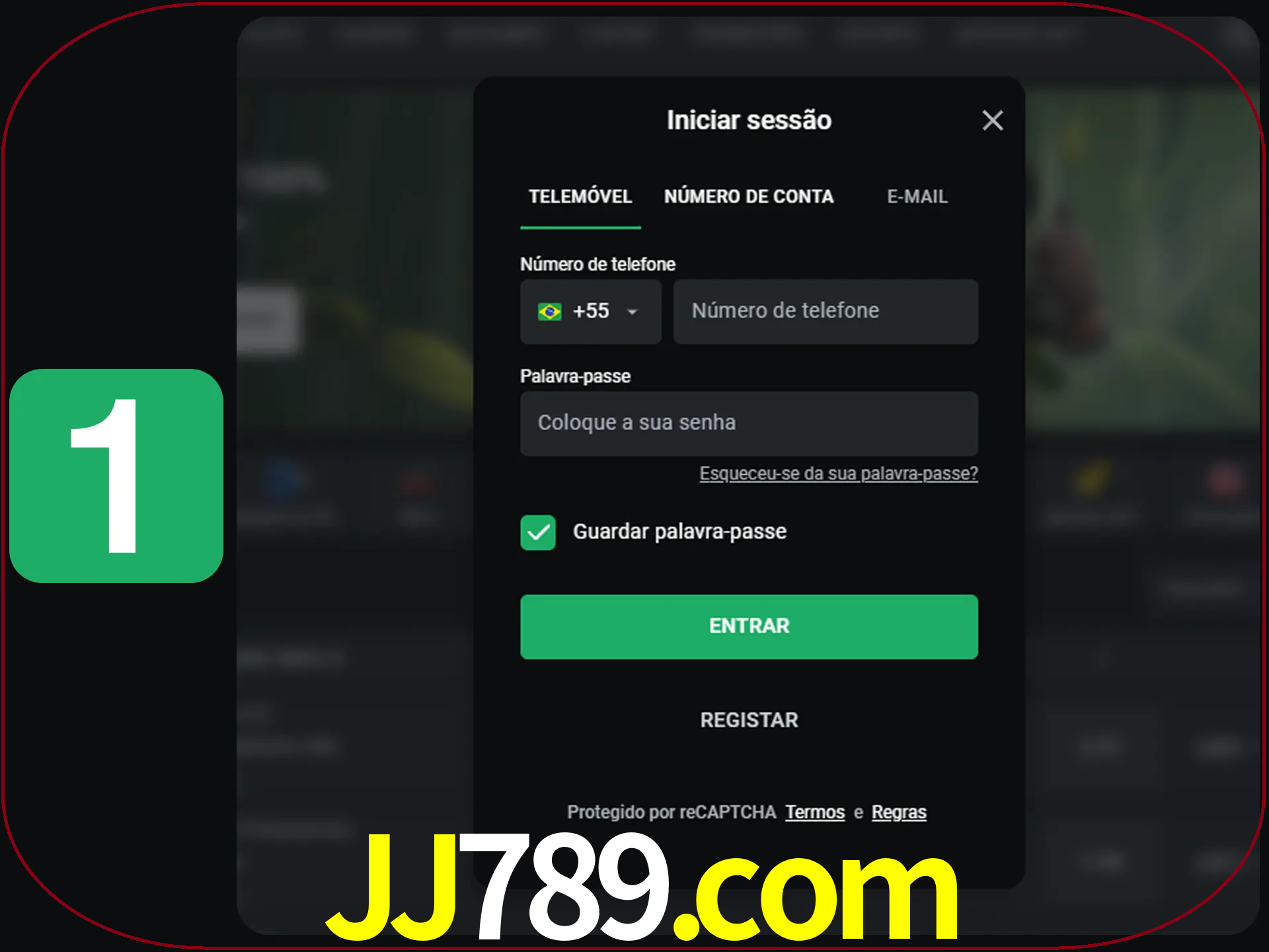 Clique no botão Entrar.